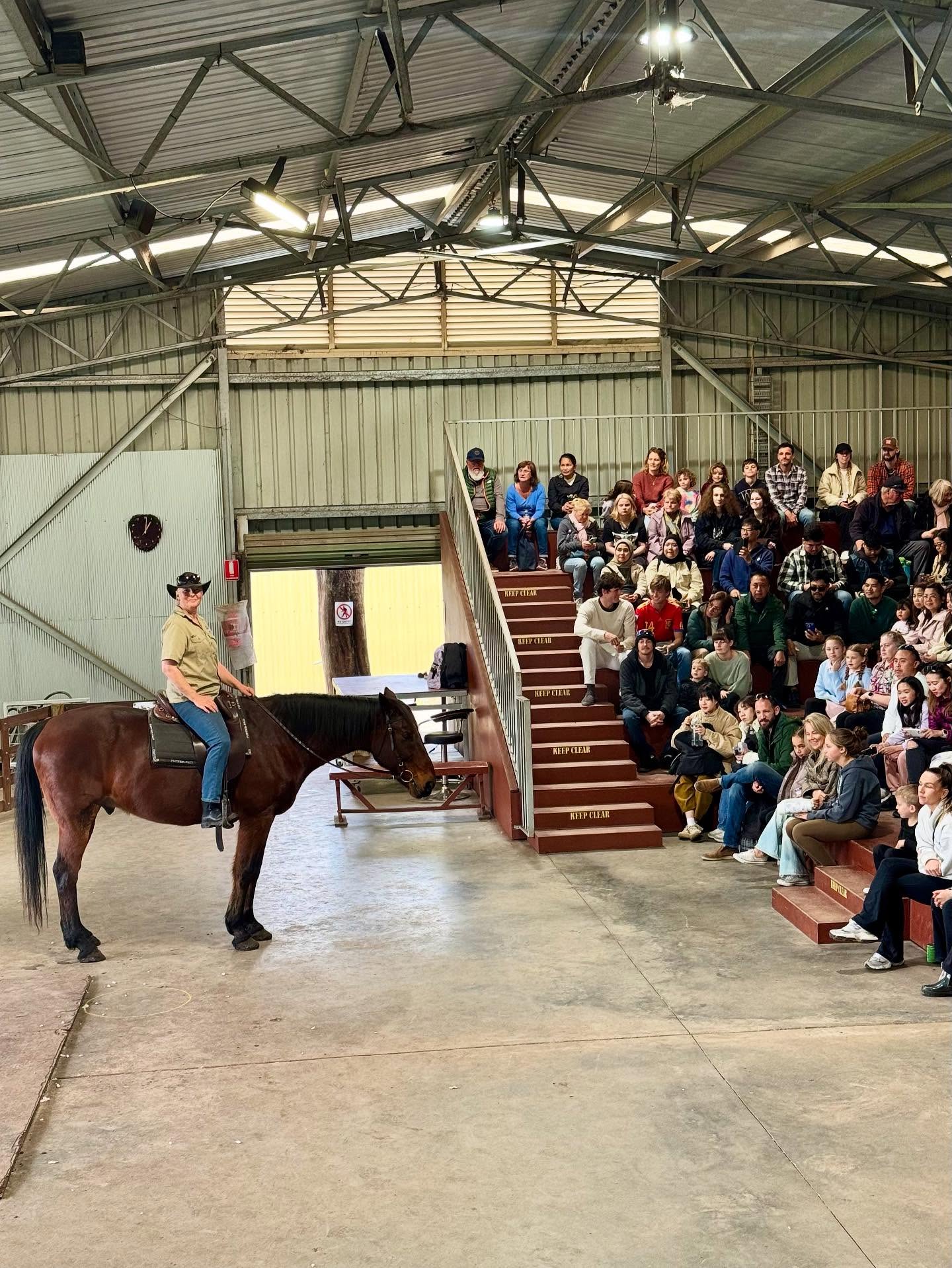 Farm Show at Caversham Wildlife Park. Source: Caversham Wildlife Park Facebook