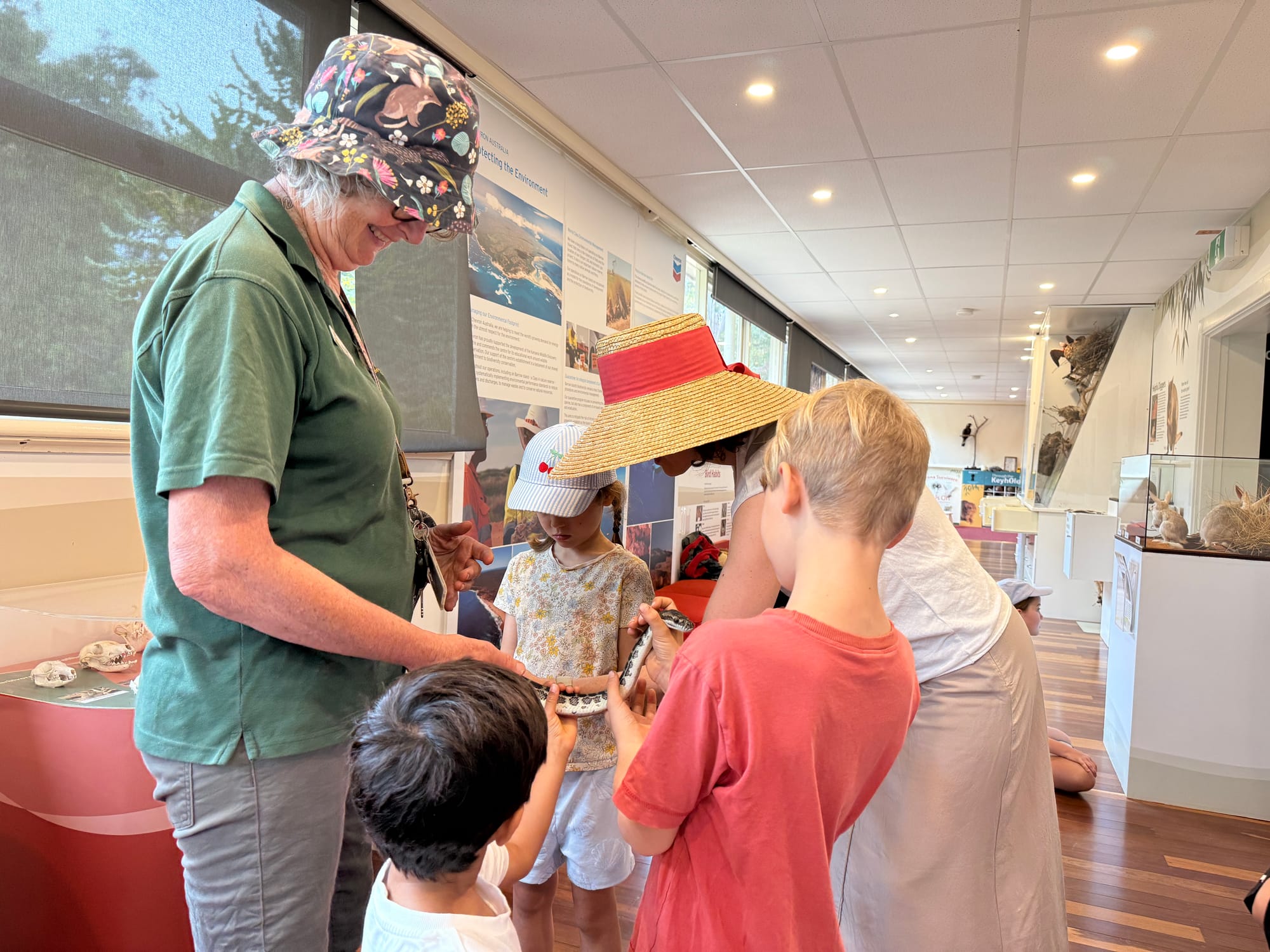 Holding a snake at Kanyana Wildlife Rehabilitation Centre. Source: Wild Nestlings
