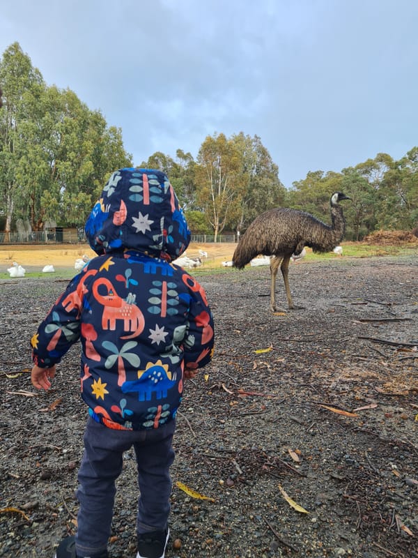 With emus and geese at Cohunu Wildlife Park. Source: Wild Nestlings. 